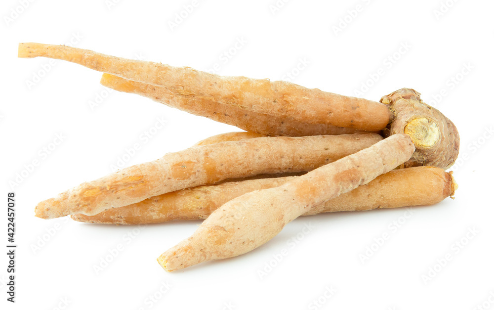 Fingerroot vegetable isolated on white background Fingerroot vegetable isolated on white background