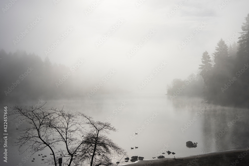 Willamette River on a foggy spring morning.