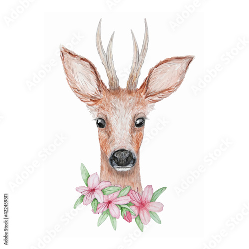 Watercolor roe deer vector illustration isolated on white background, with flowers.