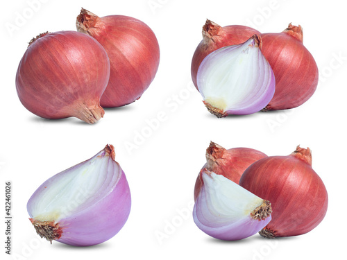 collection mix set red onion isolated on white background