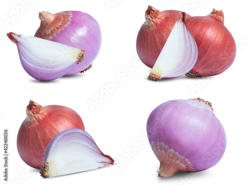 collection mix set red onion isolated on white background