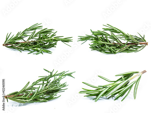 collection mix set Rosemary isolated on white background