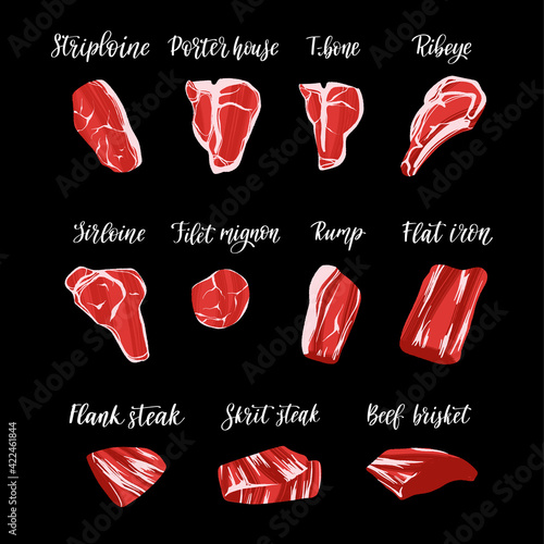 Steak types set. Beef cuts. Filet Mignon, Porterhouse, T-bone, Striploin, Rib Eye and over.