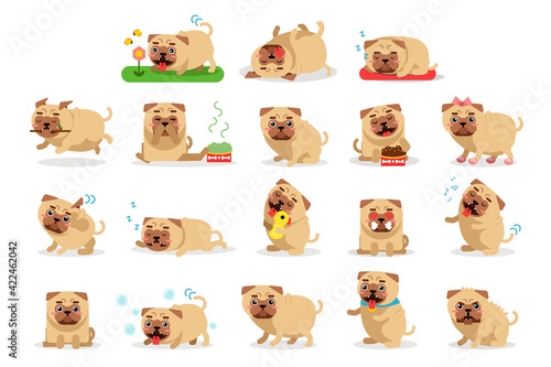 Cute Pug Hanging out Tongue, Sleeping and Scratching Head with Paw Vector Set