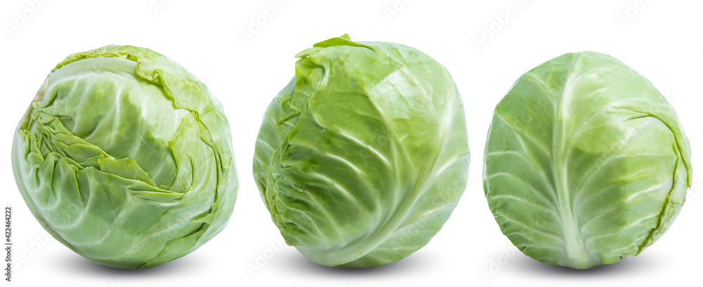 green cabbage vegetable isolated on white background green cabbage vegetable isolated on white background