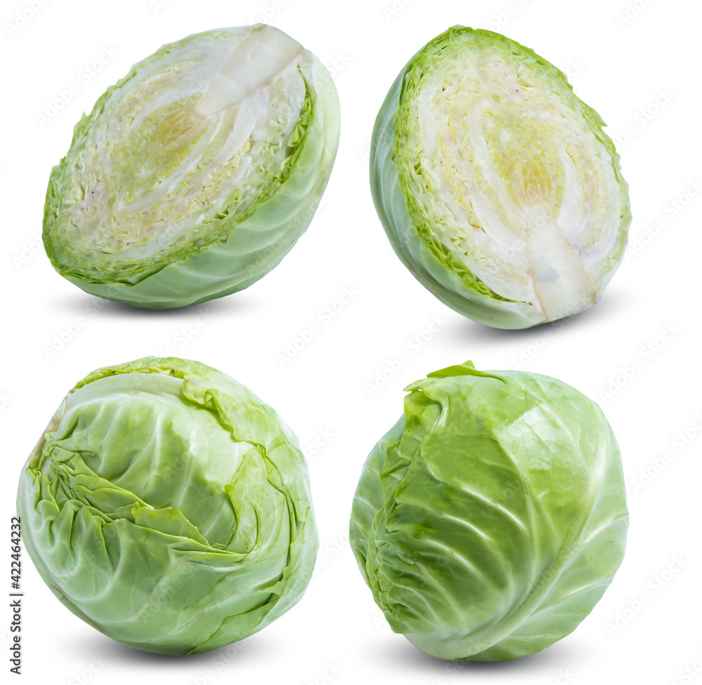 Fototapeta premium green cabbage vegetable isolated on white background