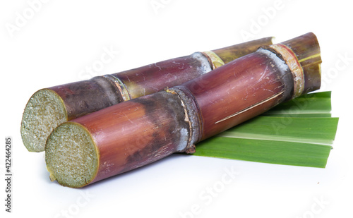 sugarcane isolated on white background clipping path