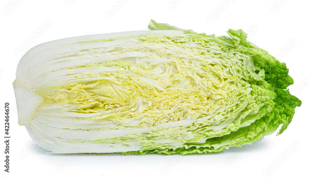 vegetable chinese cabbage isolated on white background vegetable chinese cabbage isolated on white background