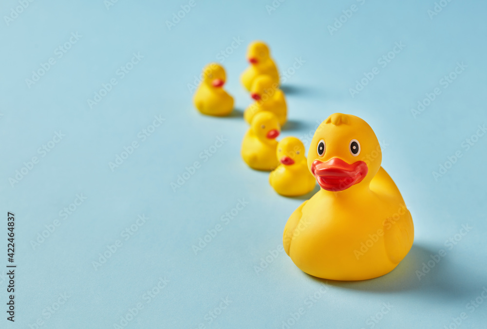Mother rubber duck and ducklings
