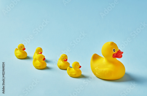 Mother rubber duck and ducklings Fototapet