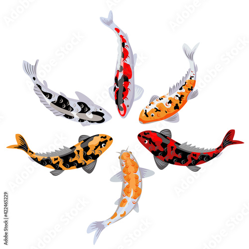 Set of Koi carps, japanese fish. korean animals. Engraved hand drawn line art Vintage tattoo monochrome sketch for label. Japanese koi fish vector illustration.