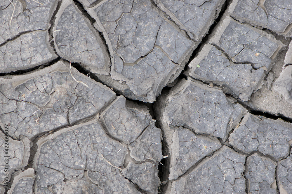 Obraz premium Background of cracks in the soil drought ecology. Dry cracked ground texture. Desert background. Global water scarcity. Deep cracks in the ground as a symbol of hot climate and drought
