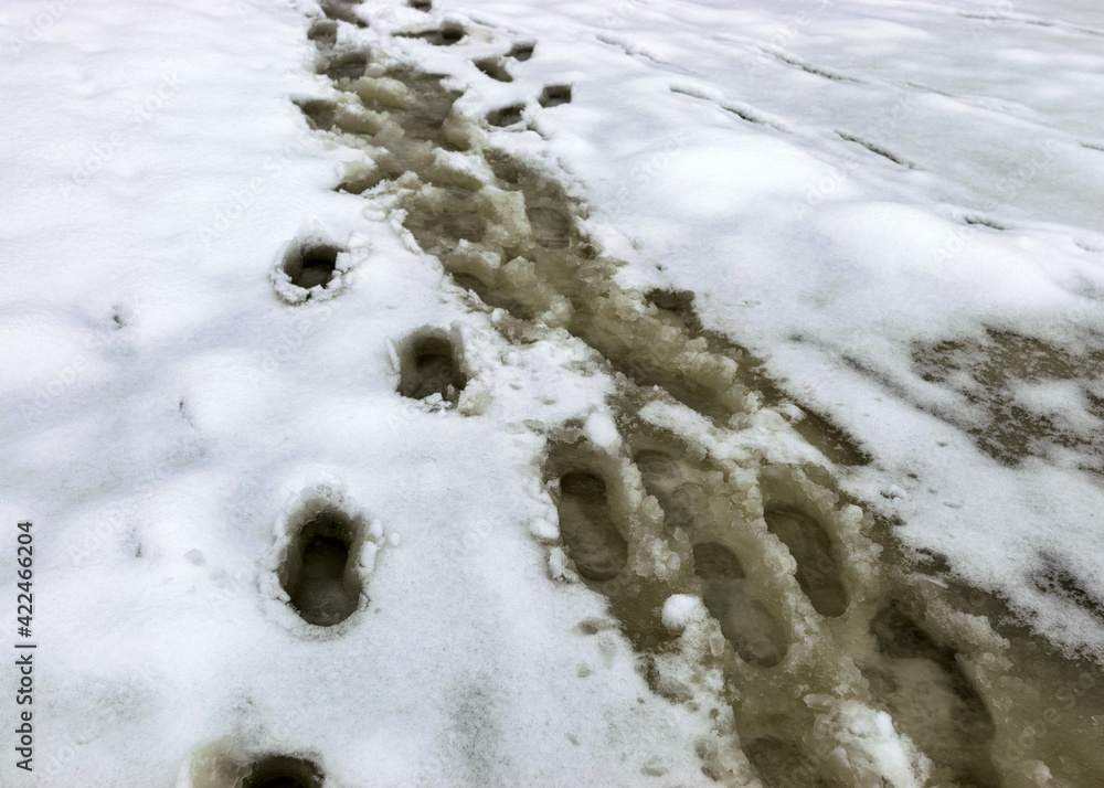 wet lake surface, footprints on ice, snow texture