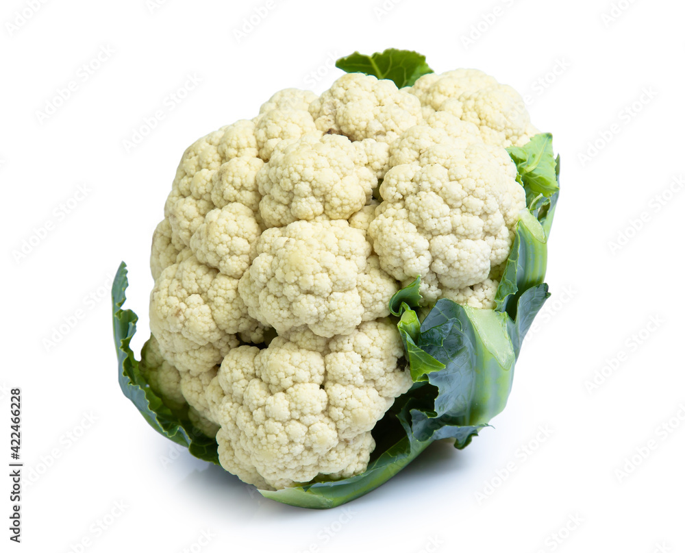 cauliflower vegetable isolated on white background clipping path cauliflower vegetable isolated on white background clipping path