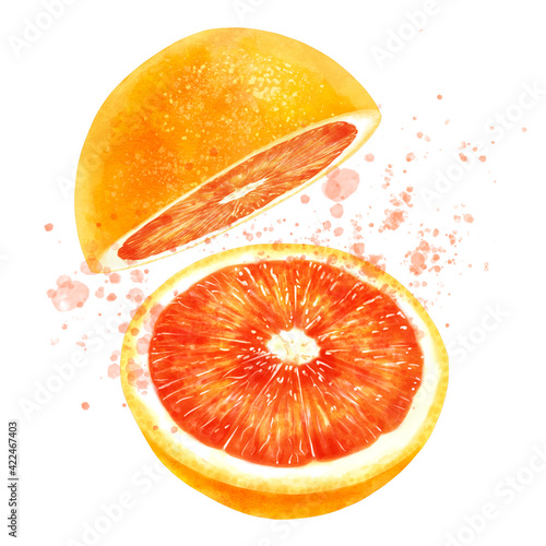 カットされたブラッドオレンジと果汁の飛沫のイラスト