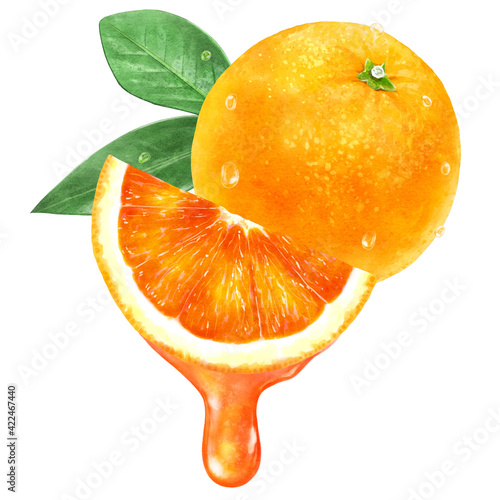 みずみずしいブラッドオレンジと果汁のイラスト 