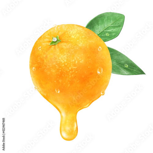 みずみずしいオレンジと果汁のイラスト	
 photo