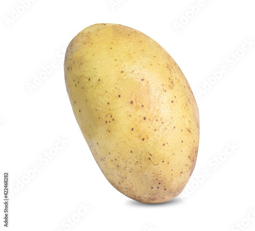 Potato vegetable isolated on white background photo