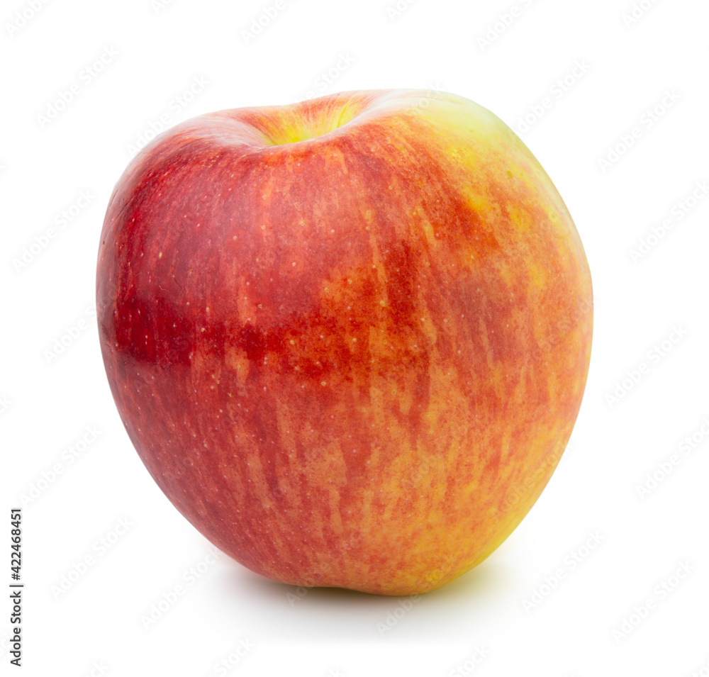 clipping path red apple fruit isolated on white background clipping path red apple fruit isolated on white background