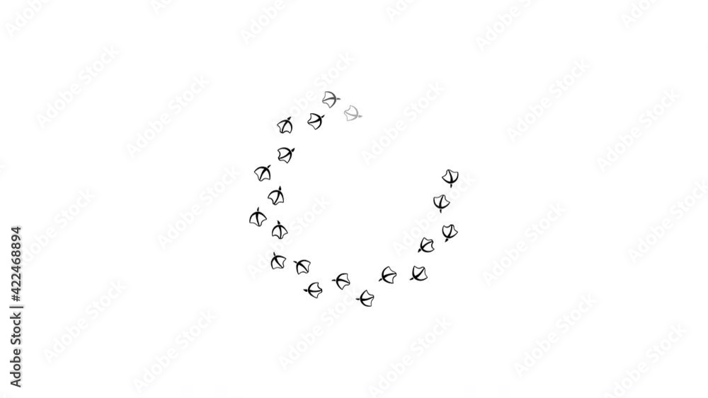 Duck foot prints down loading video. Duck foot prints down loading video.