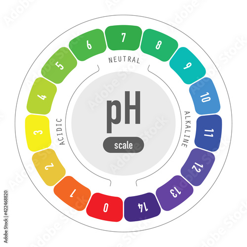 pH value scale chart for acid and alkaline solutions, acid-base balance infographic	
