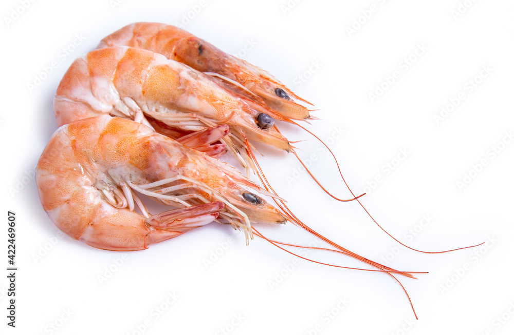 clipping path shrimp isolated on white background clipping path shrimp isolated on white background