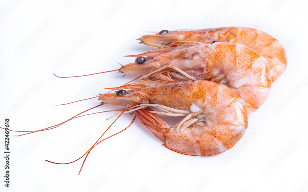 clipping path shrimp isolated on white background clipping path shrimp isolated on white background