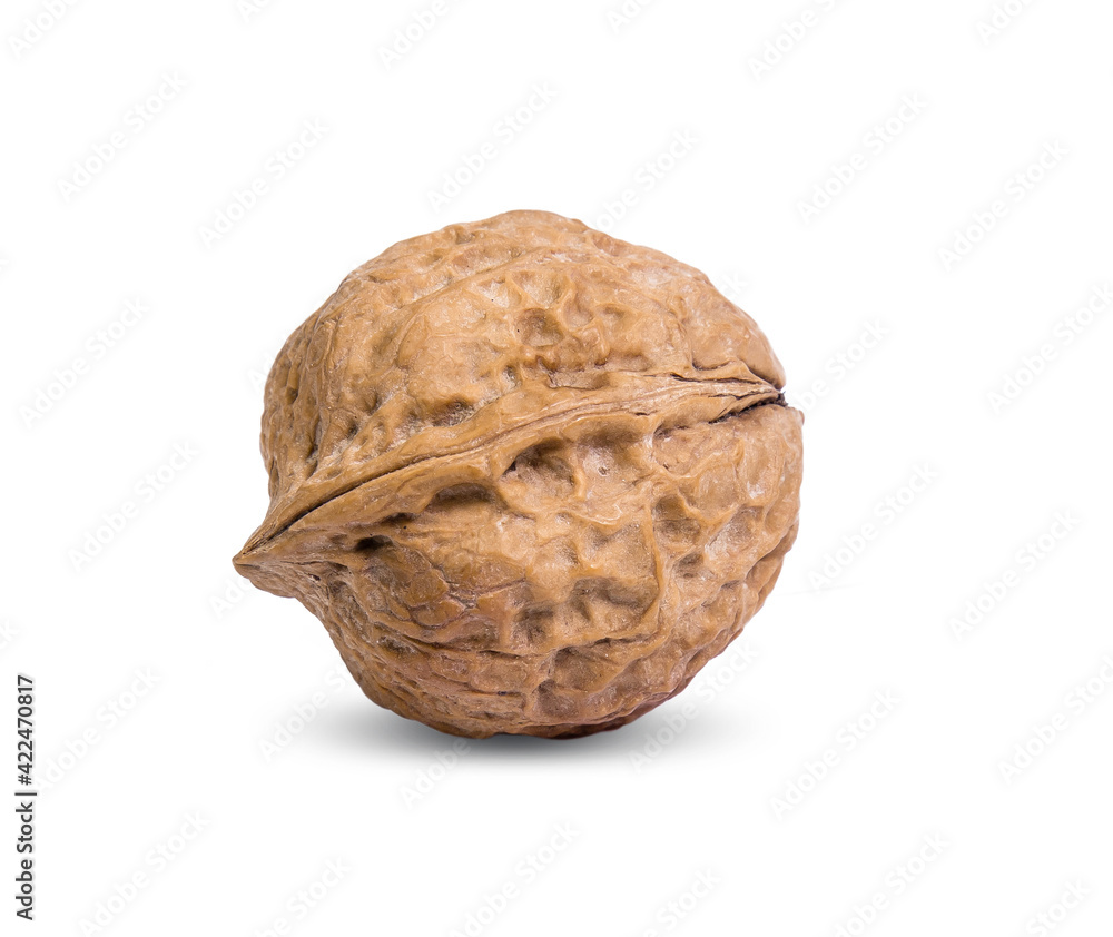 walnut isolated on white background walnut isolated on white background
