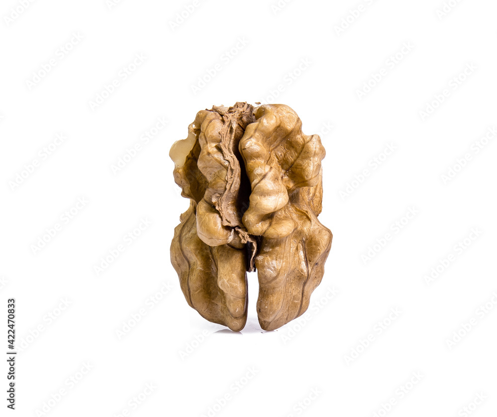 walnut isolated on white background walnut isolated on white background