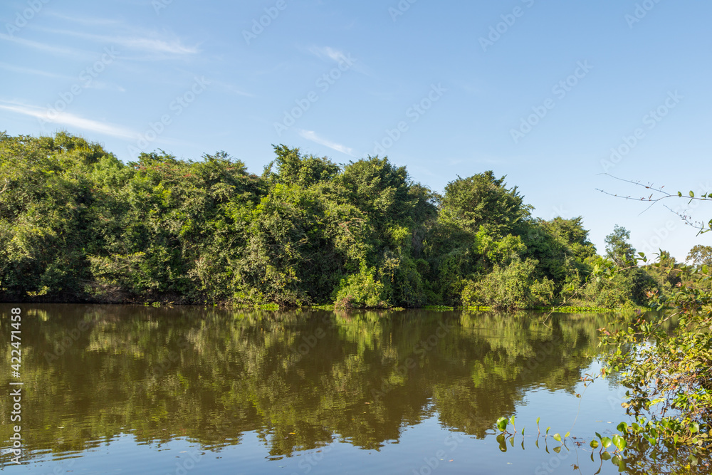 Landscape on the Rio Claro, taken from the river, in the Pantanal in Mato Grosso, Brazil