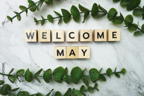 Welcome May alphabet letter with green leave flat lay on marble background photo