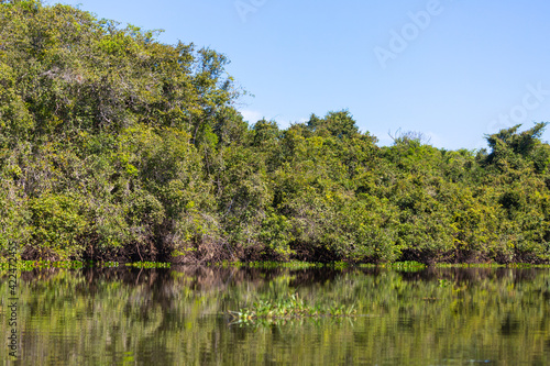 The beautiful Rio Claro in the northern Pantanal in Mato Grosso, Brazil