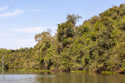 Landscape along the Rio Claro close to the Transpantaneira in the northern Pantanal in Mato Grosso, Brazil