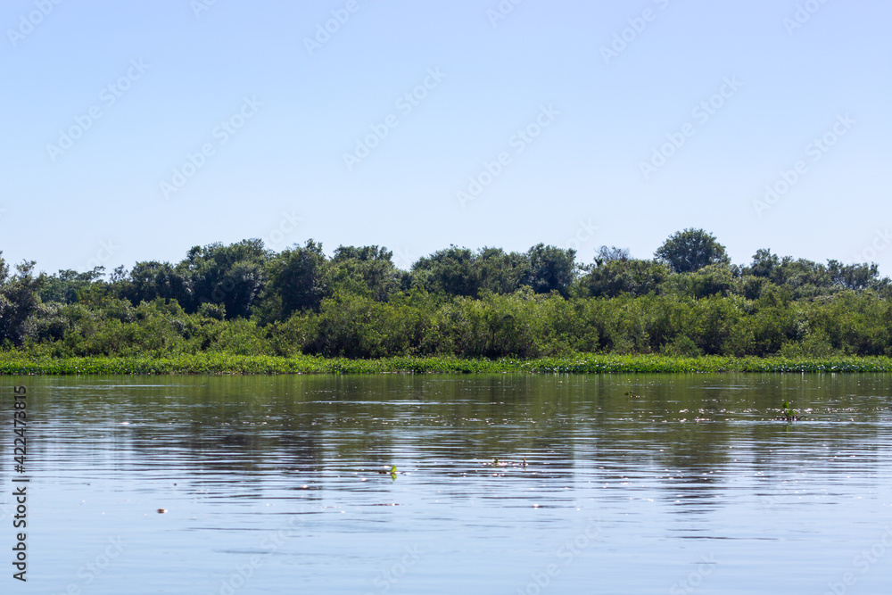 The beautiful landscape along the Rio Sao Lourenco in the northern Pantanal in Mato Grosso, Brazil