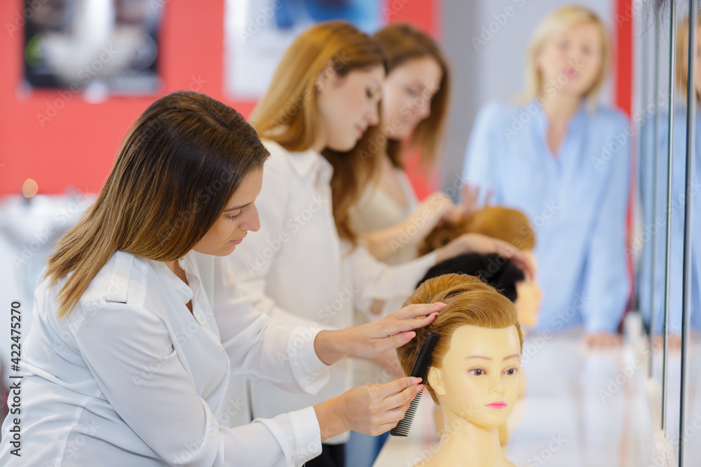 portrait of a hair salon concept portrait of a hair salon concept