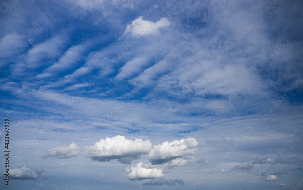 Obraz premium Summer white clouds in the blue sky.