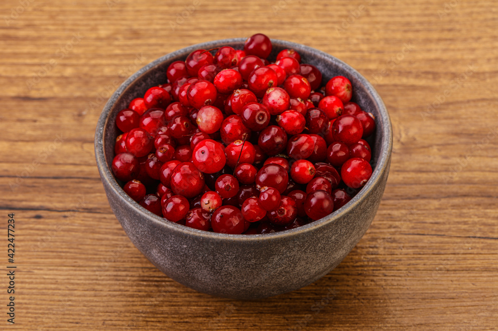 Sweet and tasty cranberry in the bowl Sweet and tasty cranberry in the bowl