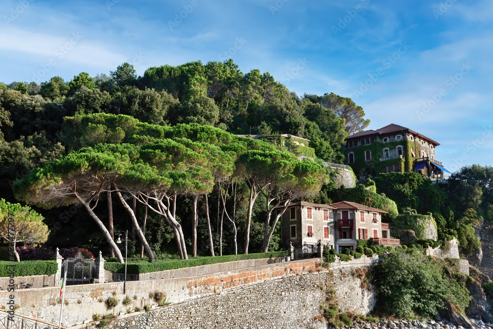 Lush greenery on the streets of Sestri Levante.Liguria, Italy