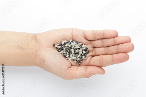 Macro Close up of Organic split black urad dal (Vigna mungo) with the shell on the palm of a Female hand. Top view