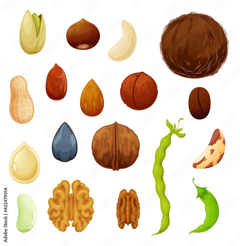 Nuts and beans icons, natural food cashew and almond, peanut and pistachio seeds, vector. Vegetarian natural raw food coconut, coffee beans and kidney, legume or green peas pod, hazelnut and walnut Nuts and beans icons, natural food cashew and almond, peanut and pistachio seeds, vector. Vegetarian natural raw food coconut, coffee beans and kidney, legume or green peas pod, hazelnut and walnut