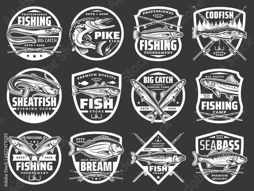 Fishing vector icons with sea eel, pike and hake, horse mackerel, gilt head bream, anchovy and tuna fish. Fisherman tournament. Ocean fishing, rods or spinning with hooks and floaters vintage labels