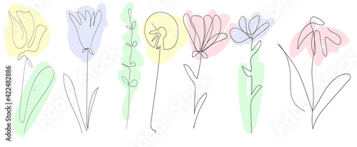 set of beautiful spring flowers on white background, one continuous line, black contour art colored spots gentle pastel color, floral vector elements, botanical set
