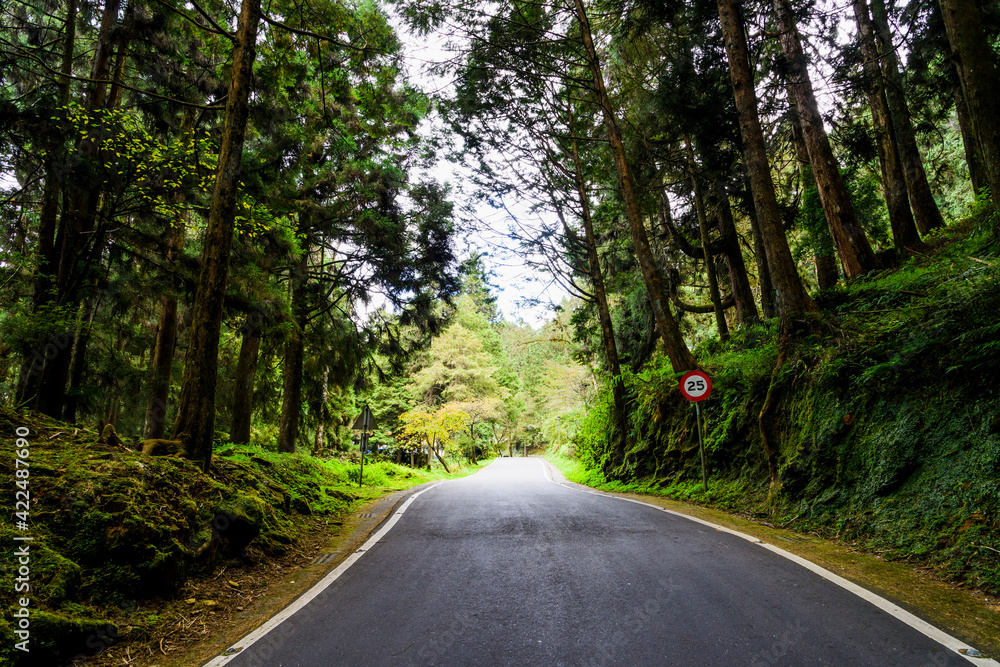 The asphalt road through the green forest in Alishan Forest Recreation Area in Chiayi, Taiwan. The asphalt road through the green forest in Alishan Forest Recreation Area in Chiayi, Taiwan.