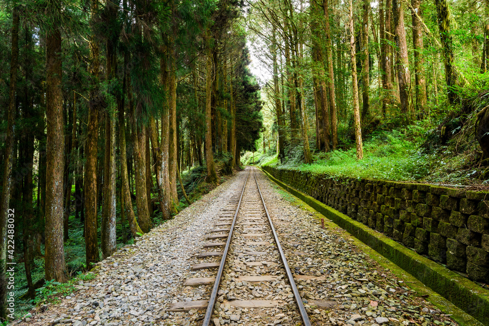 The Forest Railway passes through the Alishan Forest Recreation Area in Chiayi, Taiwan. The Forest Railway passes through the Alishan Forest Recreation Area in Chiayi, Taiwan.