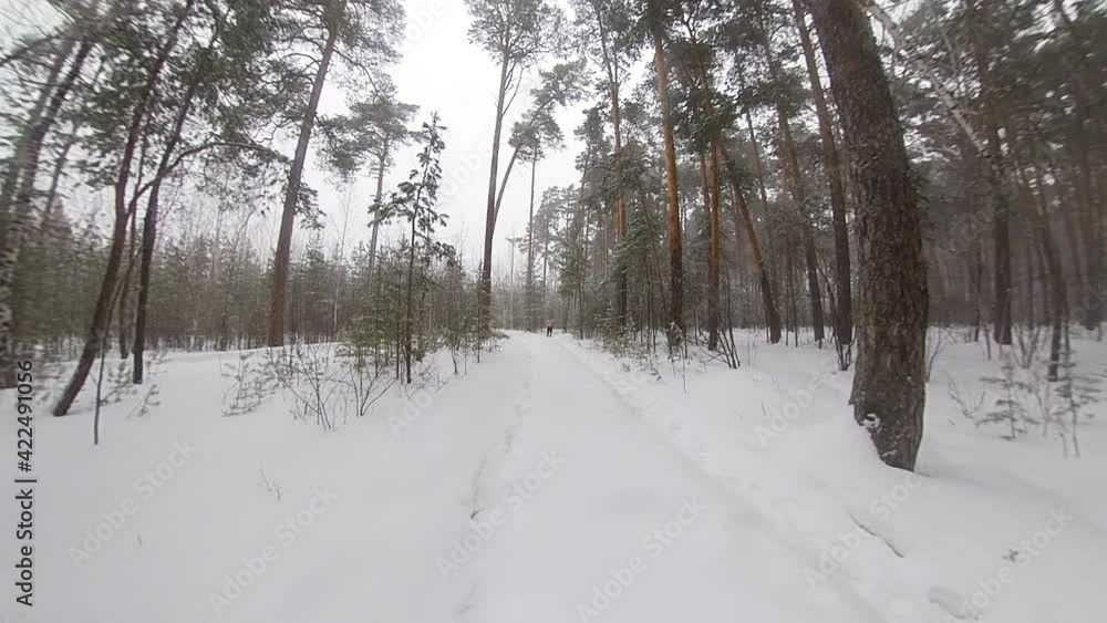 Running in the winter forest. Slow motion 2x. A man without outerwear runs through the snowdrifts.
It hardens the body and increases endurance when exercising in tough conditions. Wide shot. Pan. Running in the winter forest. Slow motion 2x. A man without outerwear runs through the snowdrifts.
It hardens the body and increases endurance when exercising in tough conditions. Wide shot. Pan.