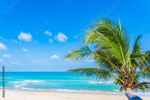 Fototapeta Naklejka Na Ścianę i Meble -  Beautiful tropical beach sea ocean with coconut palm tree