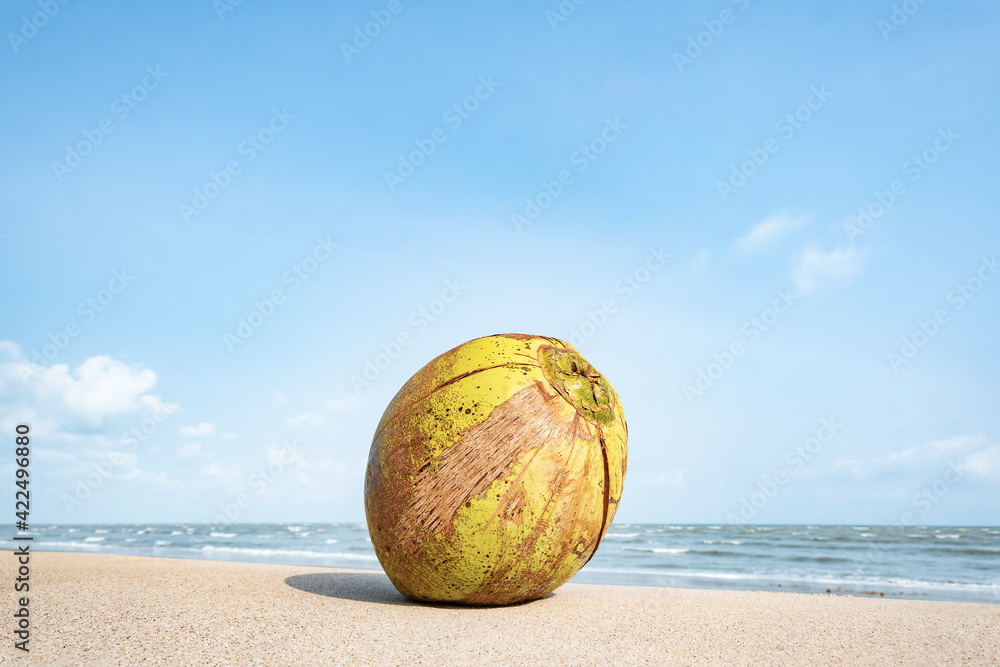 Coconut ball on Hua Hin beach, clear sky day.