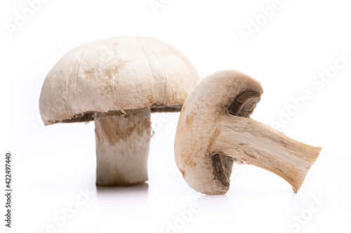 Ripe mushroom on white background
