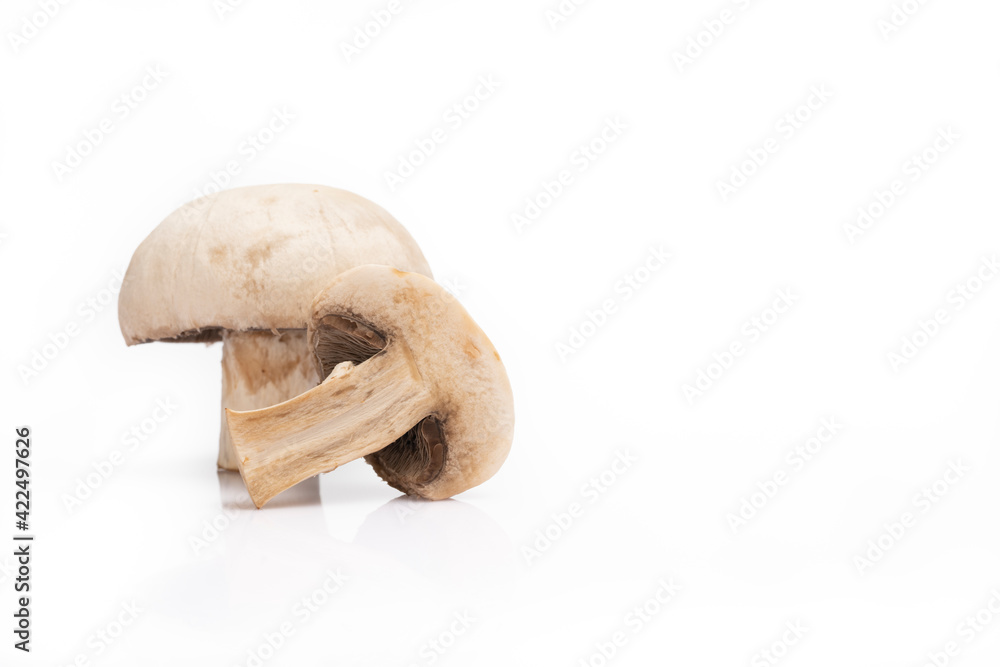 Fototapeta premium Ripe mushroom on white background