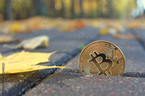 Bitcoin coin lies on the sidewalk among the fallen autumn leaves. photo